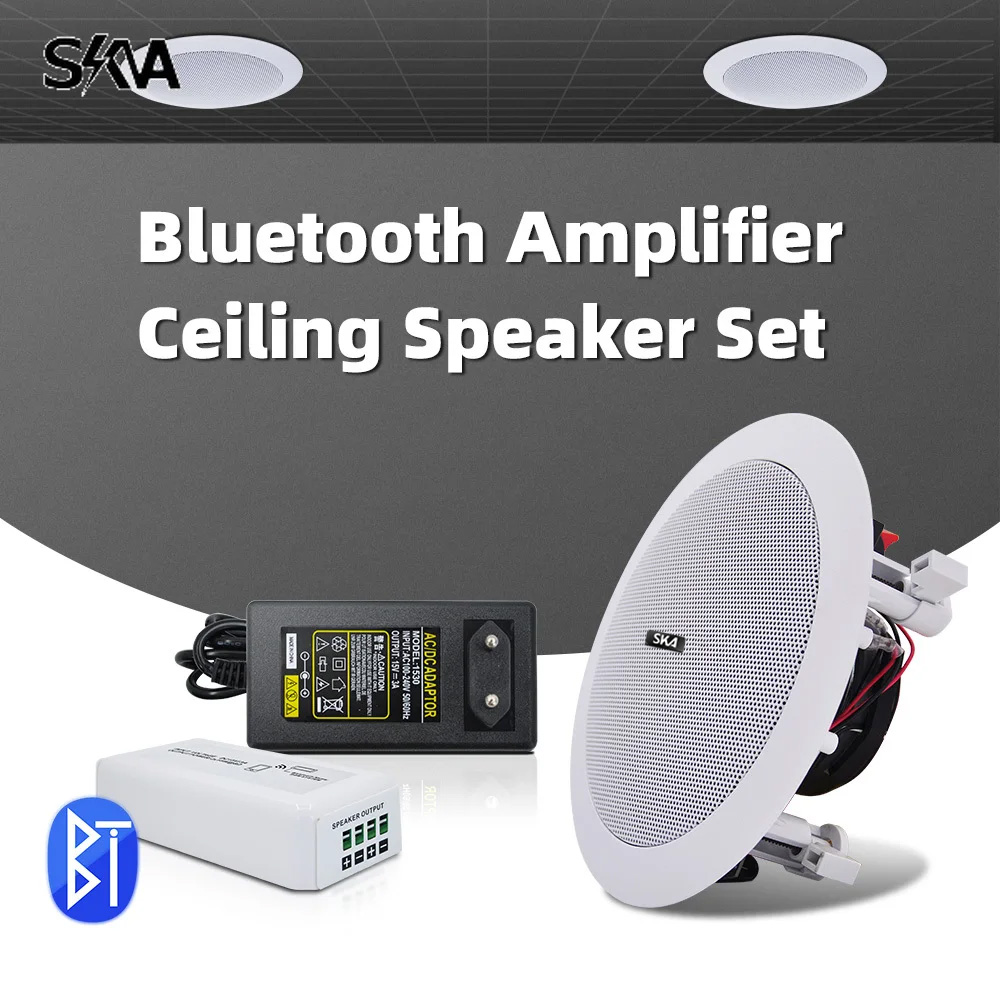 Portable Amplifier Mini - Bluetooth Amplifier Portable Mini Amp and