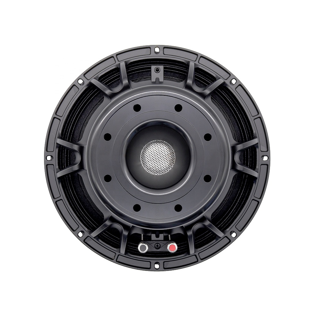 12DS Pro Audio Equipment 12''  - Audio & Music Xbox ulasan dan harga
