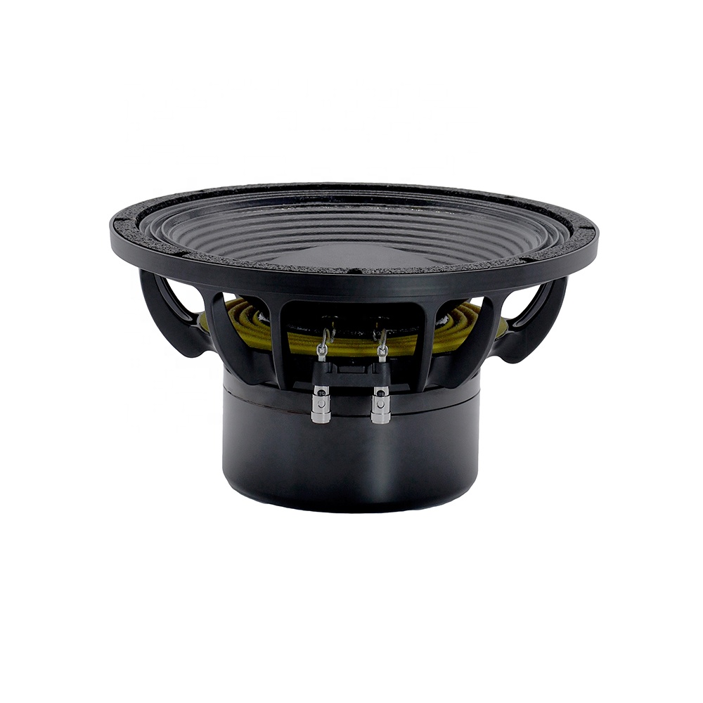 12DS Pro Audio Equipment 12''  - Audio & Music Xbox ulasan dan harga